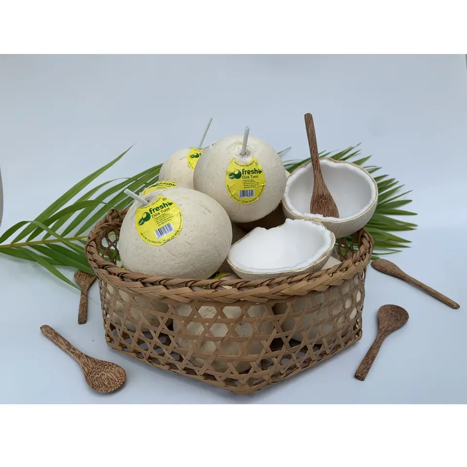 Four Weeks Shell Life Pulp and shell Dehusked Young Coconut Fresh Convenient Coconut from Vietnam
