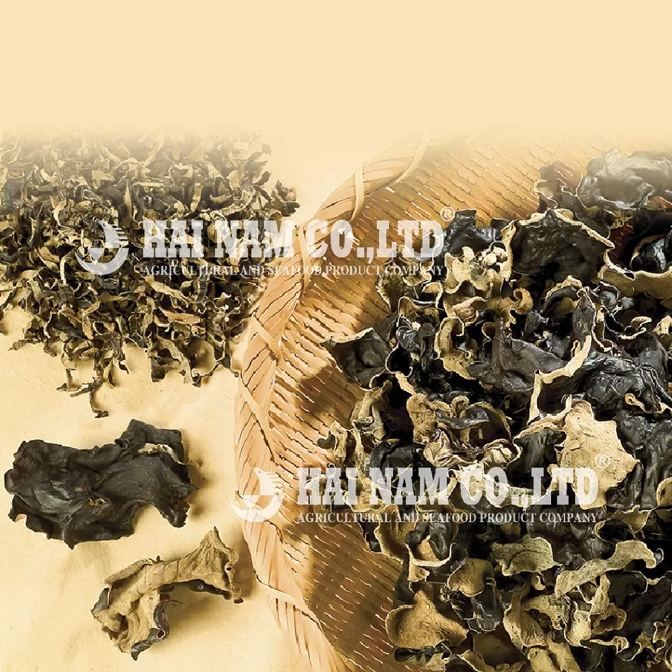 Hainam Brand Wholesale High Quality Raw Processing Type Dried Mushroom Fungus Made In Vietnam