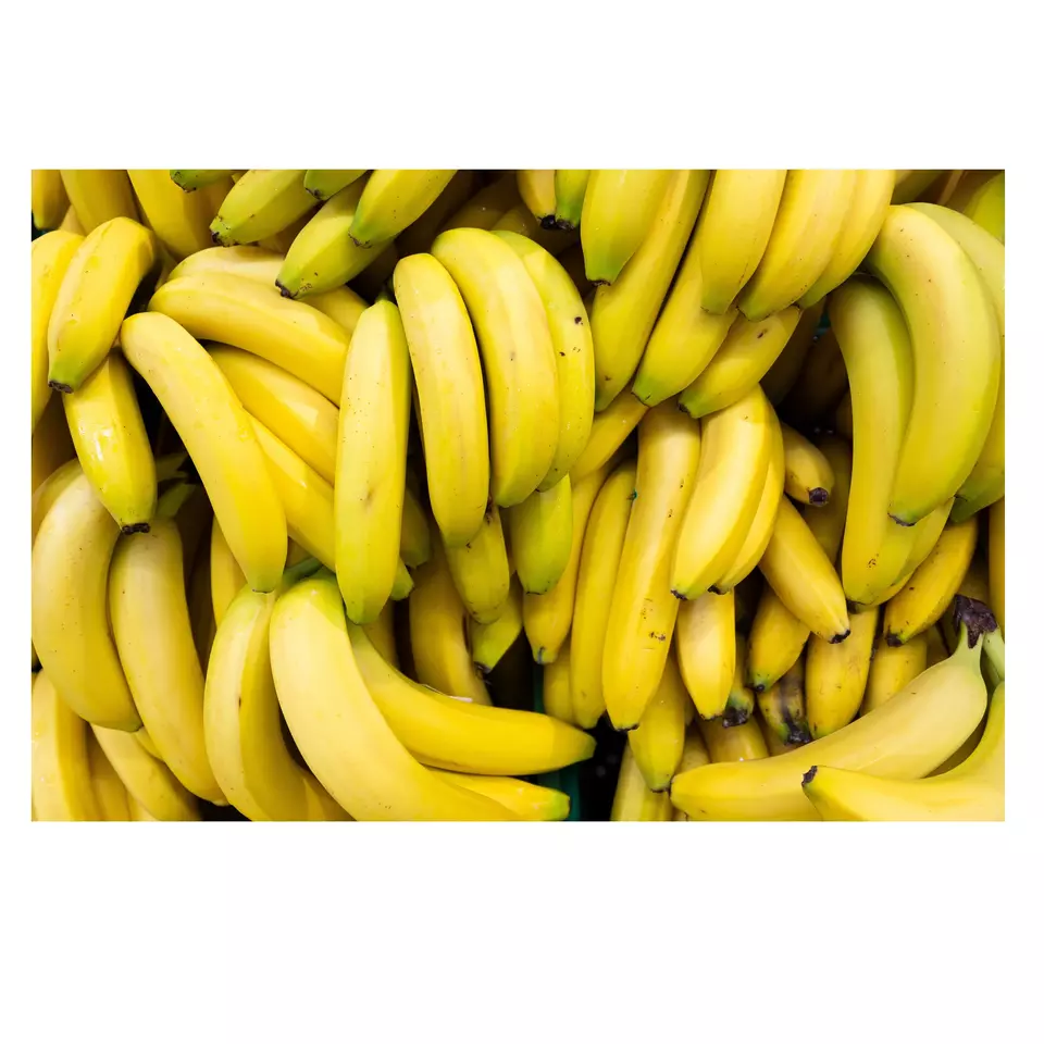 Top Selling Fruit Fresh Green Banana Long Sweet Yellow Increase Muscles Full Nutrition Organic Cavendish Banana From Vietnam