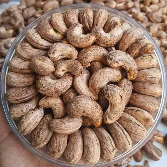 Best Cashew Nuts Price - Cashew Nuts W320 W240 and raw cashew nut made Vietnam