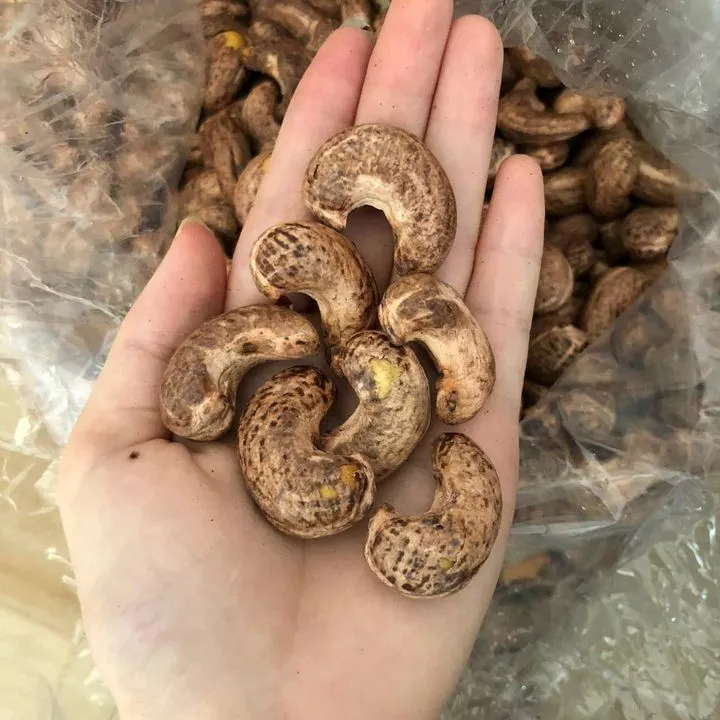 High Quality Cashew Nuts Fresh W320 W240 and raw cashew nut Export Cashew Nuts From Vietnam- whatsapp +84987289655