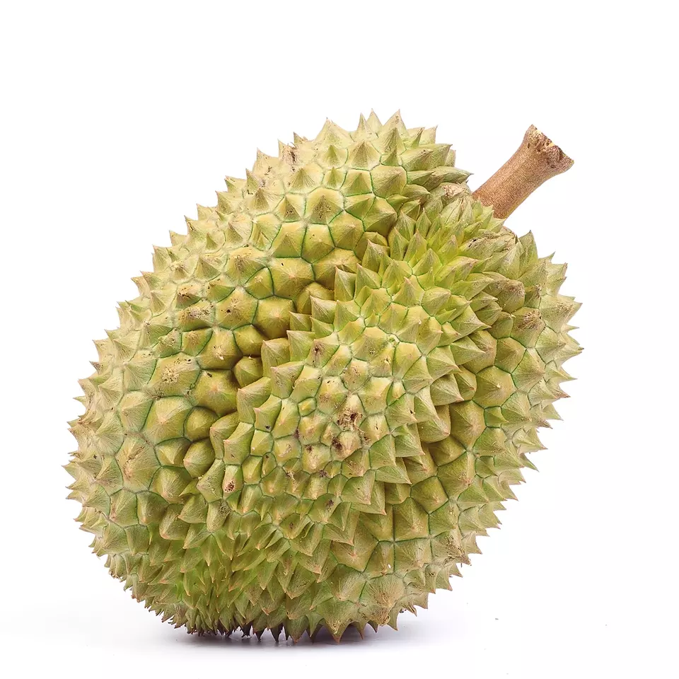 Fresh Durian - Good Price Premium Viet Nam Fresh Durian with Natural Sweet and Color from Non GMO farmers