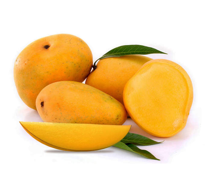 Mango/Fresh Mango Fruit/Cat Chu Mango