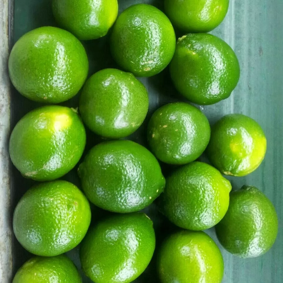 Fresh Seedless lime