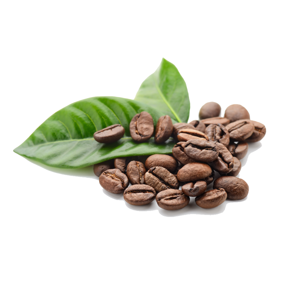 Premium coffee product European Coffee Beans Control Union certifications coffee beans Vietnam roasted for importers companies