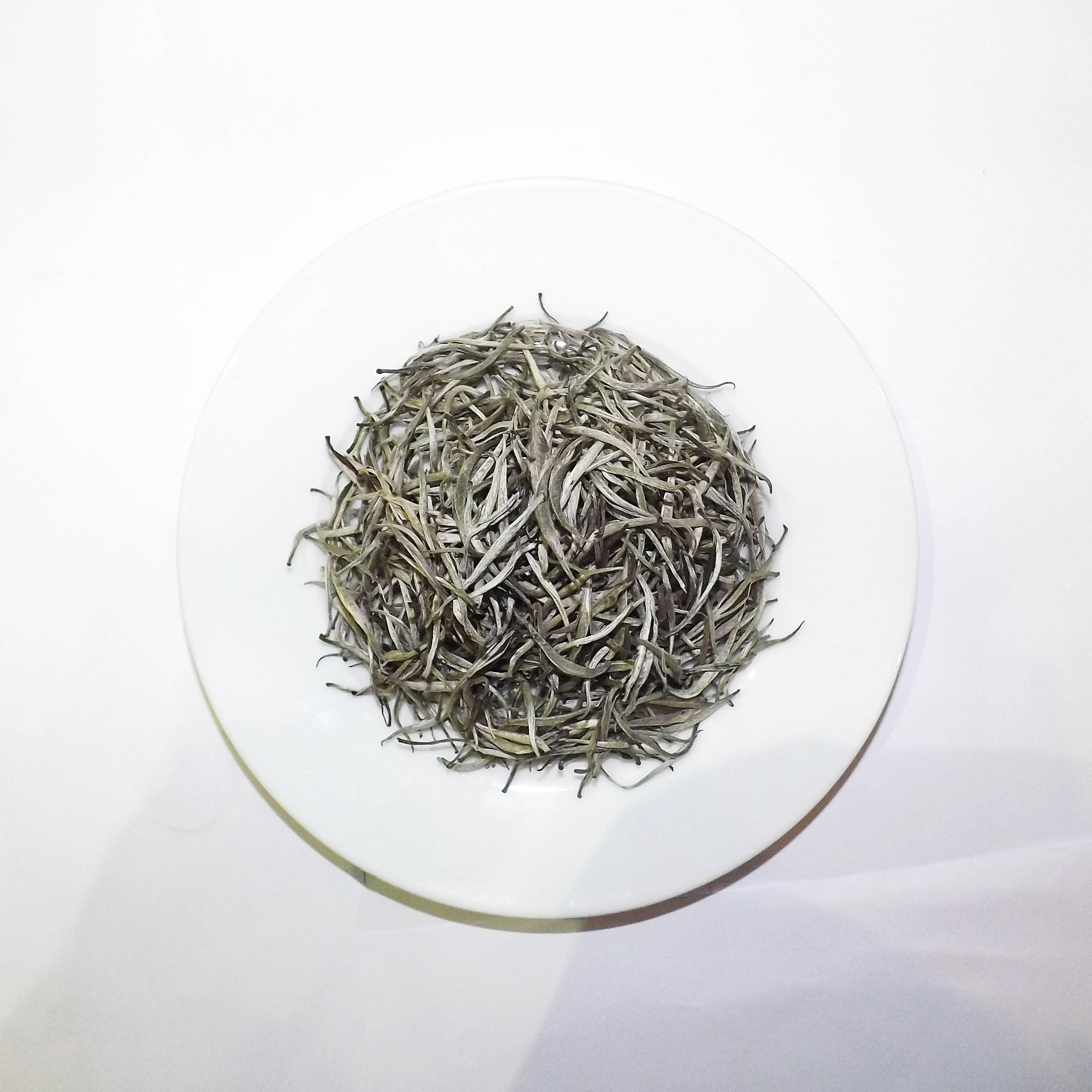 Organic White Tea Wholesale High Quality Organic Silver Needle White Tea Good for Beauty and Health