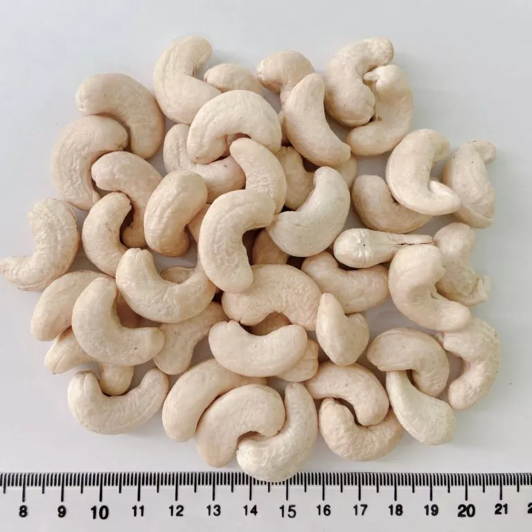 NEW CROP - BEST PRICE - CASHEW NUTS from TOP BRC factory (Hanfimex-Mr.Daniel +84969509207)