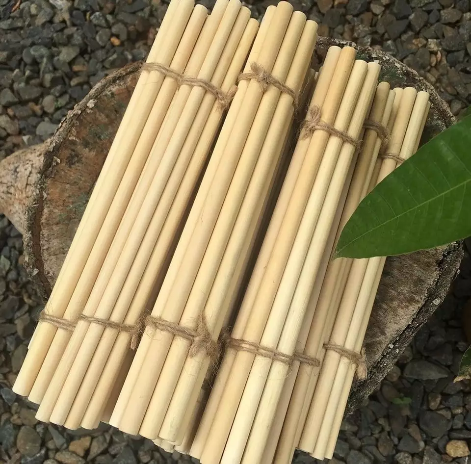 Eco-friendly Wholesale High Quality MOQ Low Bamboo Drinking Straw Bamboo Straws Price Competitive HUNG TAM VN from Vietnam