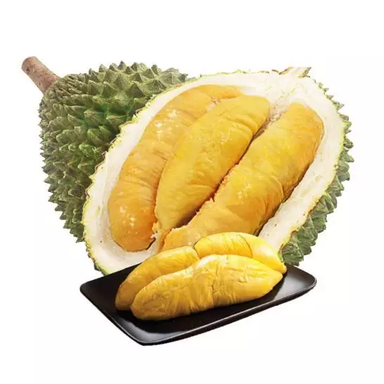 FRESH DURIAN RI6 MONTHONG EXPORT WHOLESALE FROM VIETNAM HIGH QUALITY SUPPLIER FOR US, EU MARKET