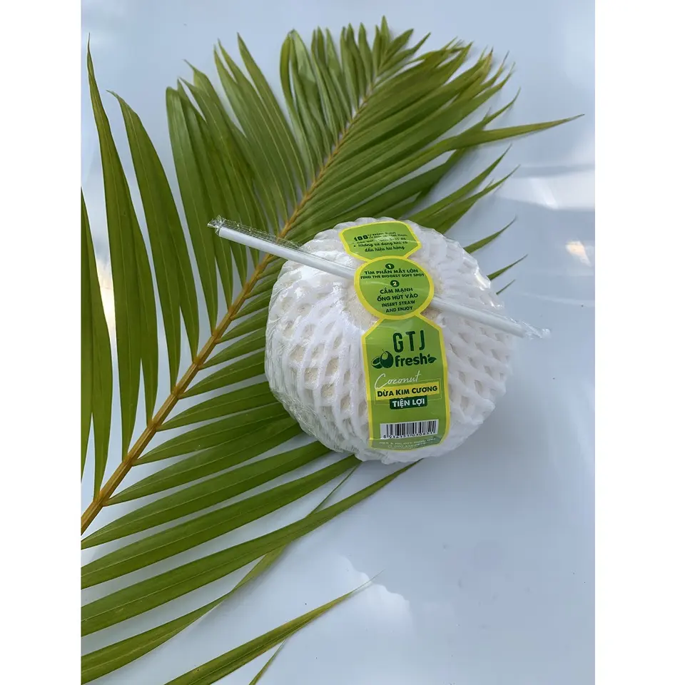 Pulf and Shell Semi Husked White Delicious Flavor Young Organic Fruit Convenient Diamond Cut Shape Coconut From Vietnam