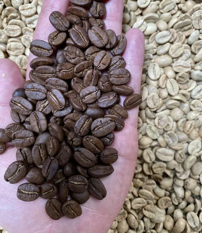 Roasted Arabica/Robusta Coffee Bean for distributors ready for export made in Viet Nam. +84 976727907 Ms Caroline