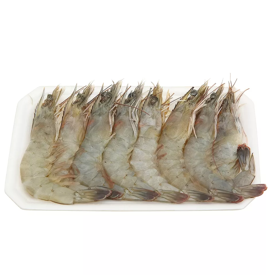 Wholesale HOSO Vannamei Shrimp High Quality From Vietnam