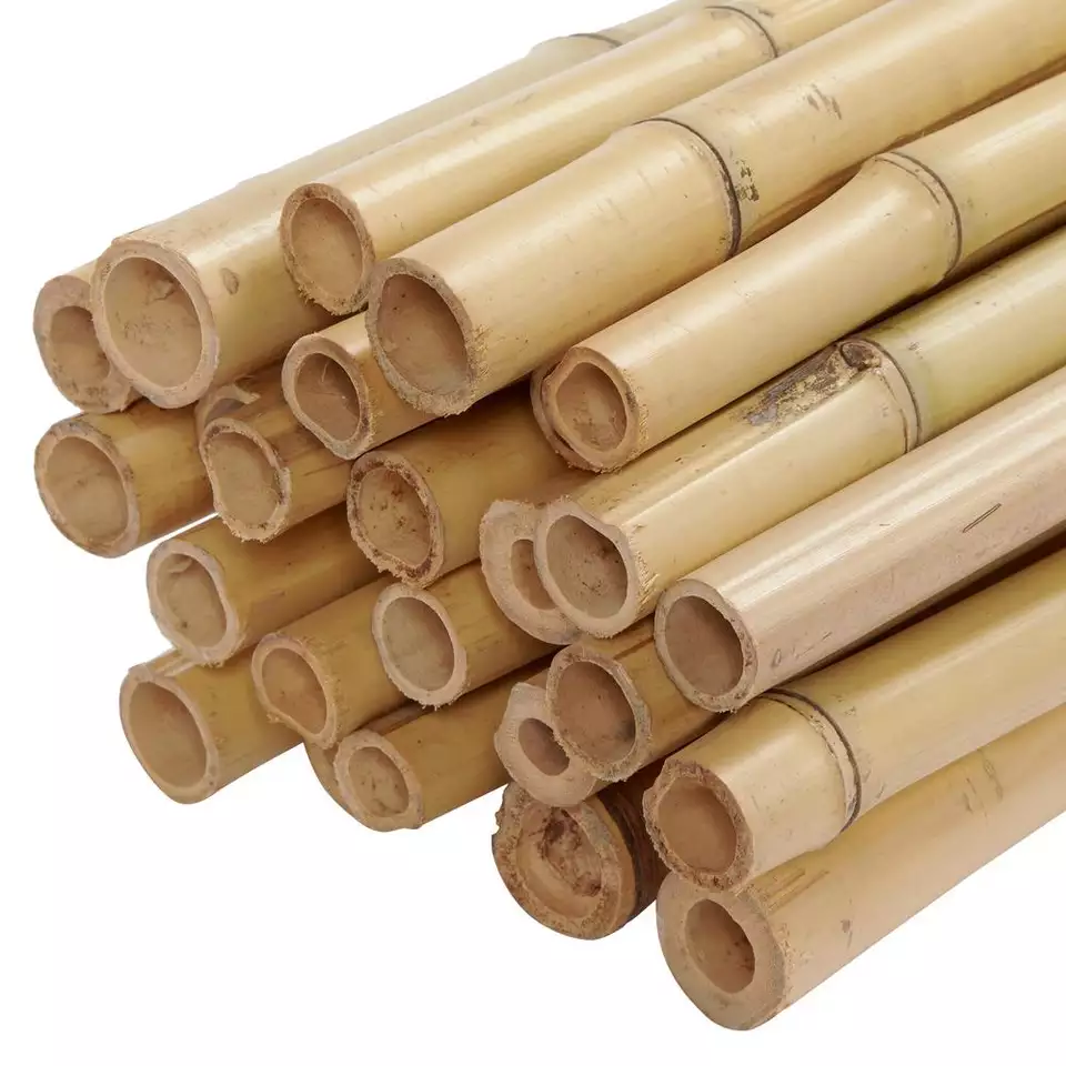 Best Selling Raw Material 2022 Bamboo Pole For Construction Vietnam From High Quality Bamboo And Good Price From Eco2go Vietnam