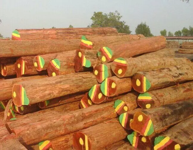 Pyinkado round logs timber