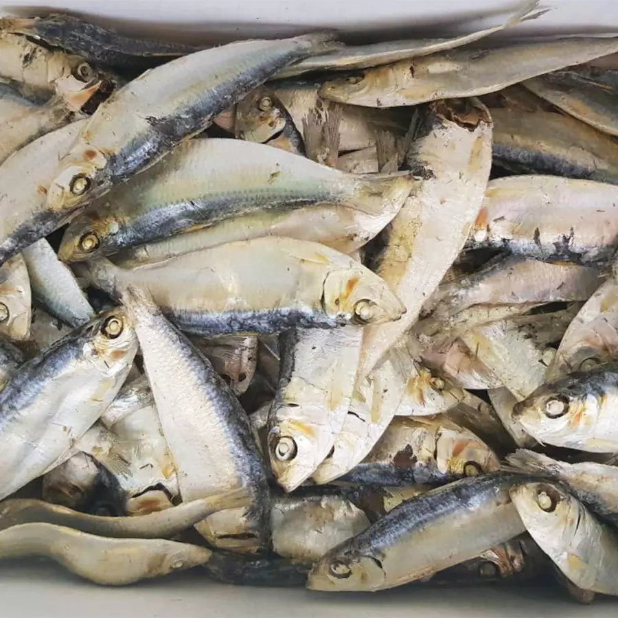 THE BEST PRICE FOR DRIED HERRING FROM VIETNAM