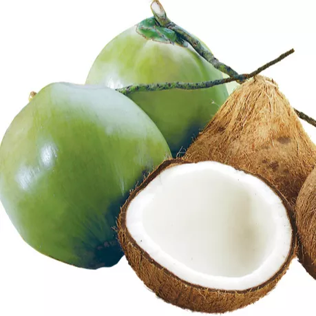 Fresh Young Coconut - Fast Shipping Cheap Bulk Diamond Shaped Young Coconut for Food and Beverages from Viet Nam