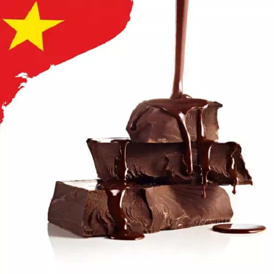 Single Origin Vietnam Cocoa Liquor - CacaoTrace Cocoa Ingredients
