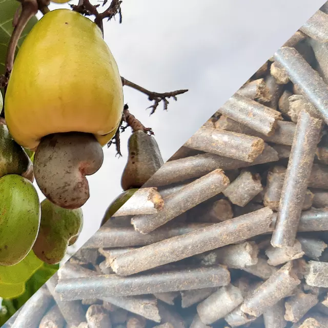 High End Cashew Nut Shell Extraction CNSE from VietNam