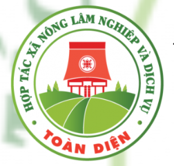 Toan Dien Agriculture and Service Cooperative