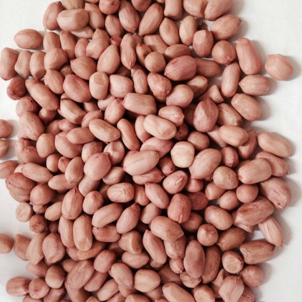 HIGH QUALITY PEANUTS FROM VIETNAM