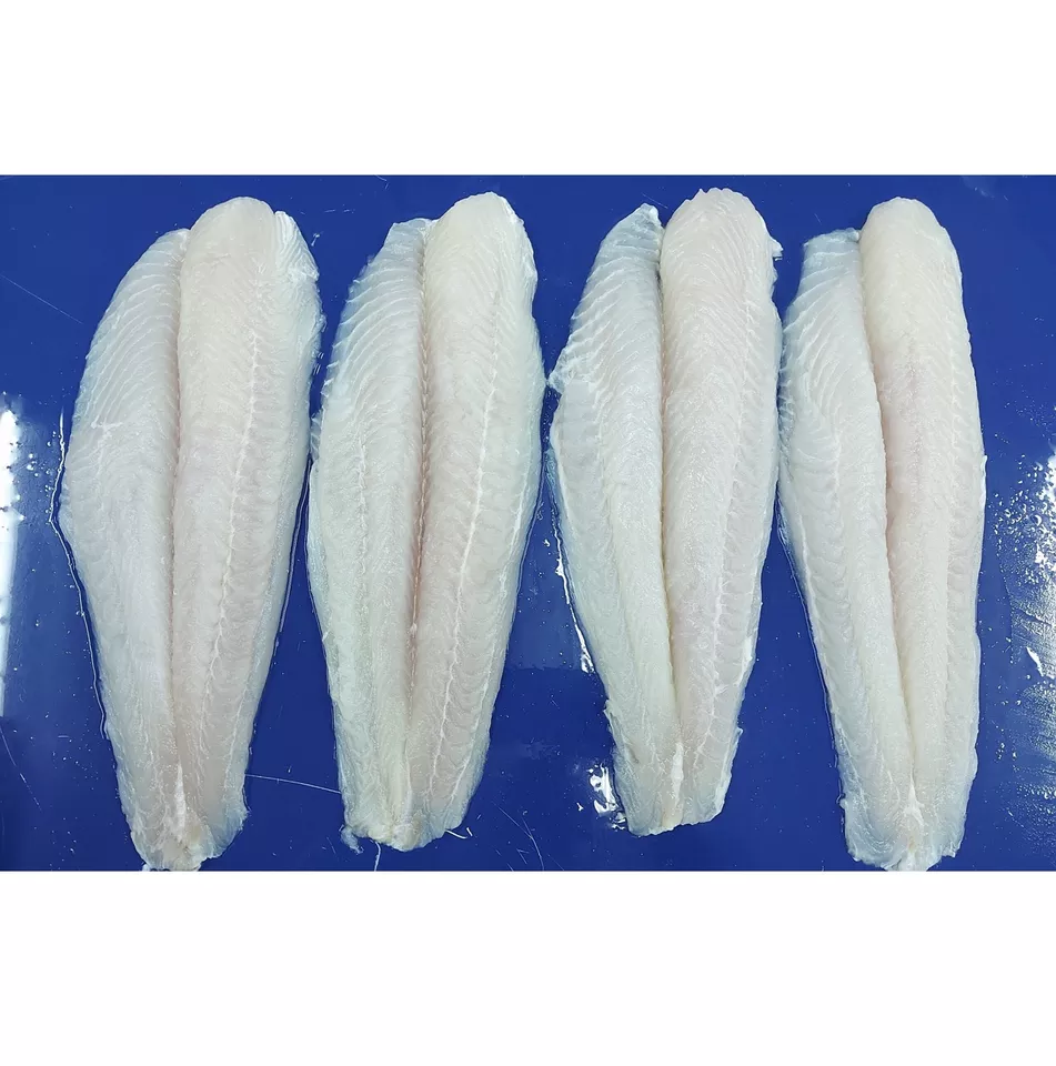 HIGH QUALITY WHITE WELL TRIMMED PANGASIUS FILLET IQF Frozen fish seafood pangasius fillet Factory price High quality