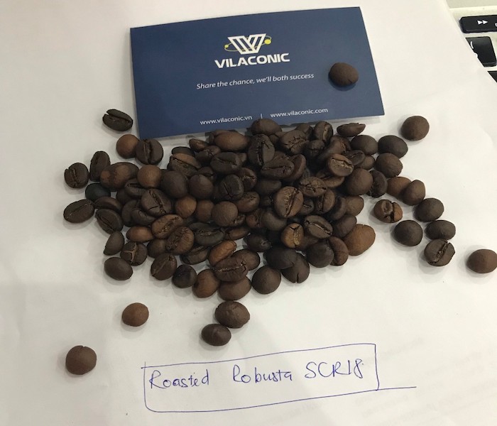 Roasted Arabica Coffee Bean Medium Roast Premium Quality OEM Packing