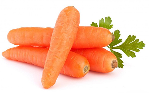 Fresh Carrot Cheap Price Low MOQ Best Quality Brand Manufacturer OEM ODM Service Custom Logo Package Hot Selling Vegetables