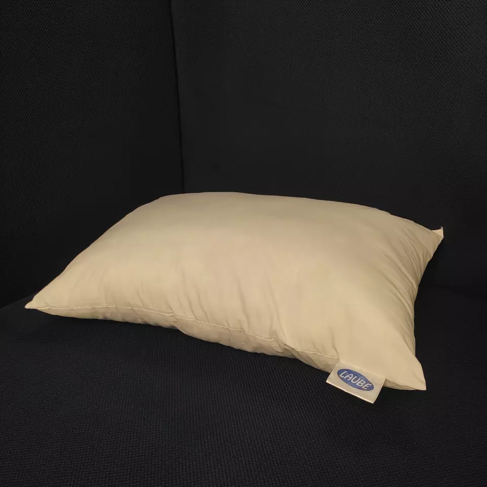 Arai VietNam - Pillow 45x65cm Wholesale Healthy Sleeping Bed Export From Vietnam