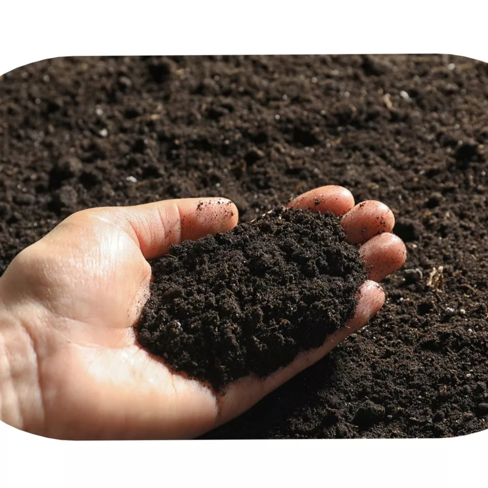 Peat Organic Fertilizer Best Quality Manufacturer fertilizer potting Plants Growth Promotion Good Price