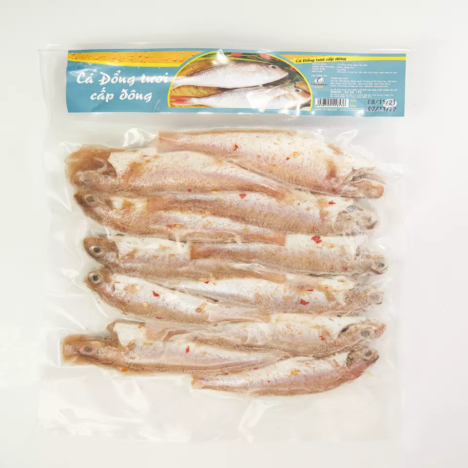 Vietnam Seafood Industry Providing Fresh And natural size color taste Thuan Hue Corp Frozen False Snappers