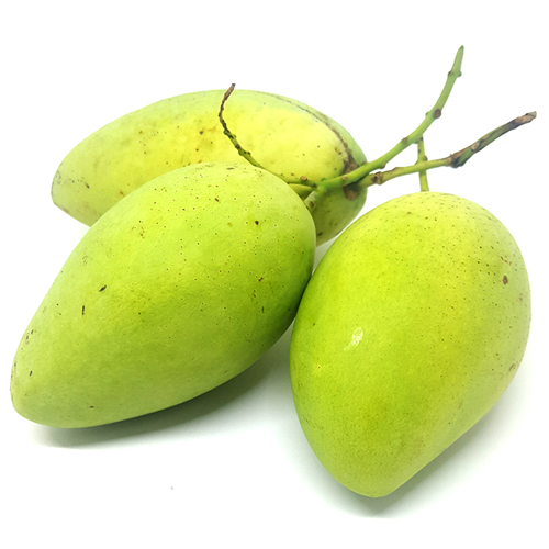 Fresh Green Mango From Vietnam