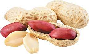 Pea nut with High Quality from Vietnam, 100% Organic Peanut from Vietnam