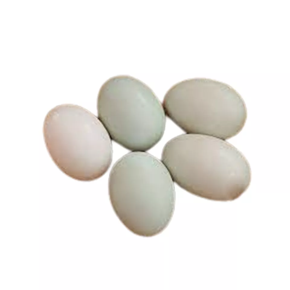 High Quality Salted Duck Egg Salty Flavor Packing Carton from Vietnam Manufacturer