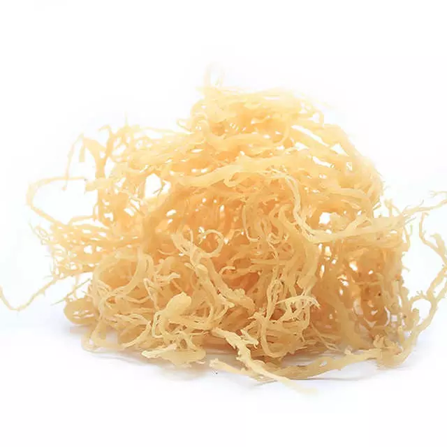 Dried Sea Moss - Cheap Bulk Healthy Natural Delicious Dried White Sea Moss from Viet Nam wholesale