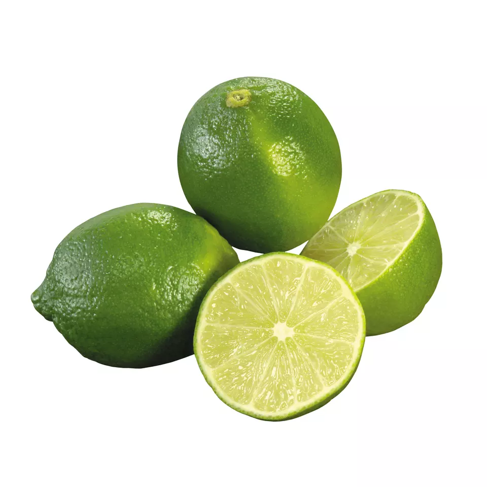 2022 OEM Fresh Seedless Lime from Vietnam Cheap Price FRESH SEEDLESS Wholesale GREEN LEMON Raw Origin