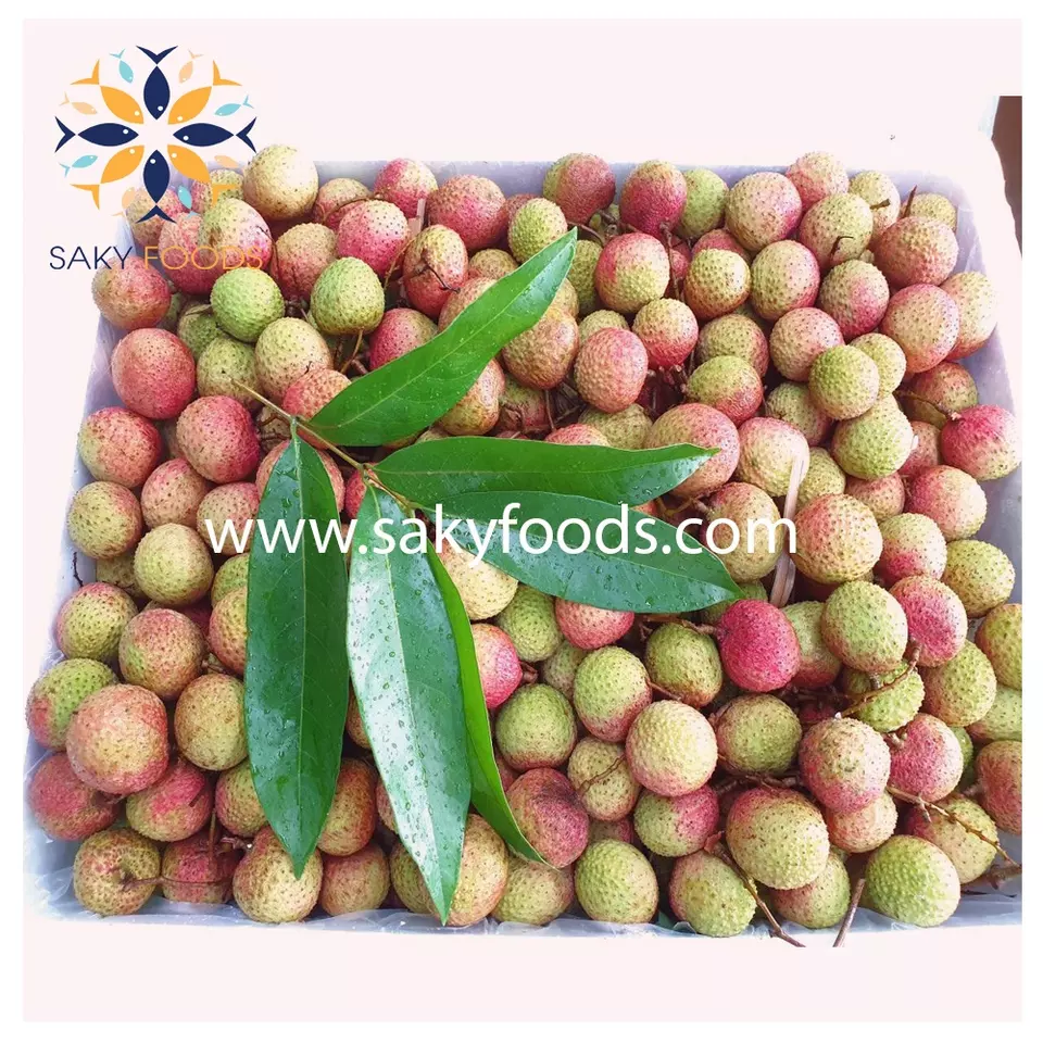 High Quality Fresh Lychee Good Price For Exported US Market
