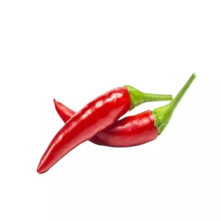 Hot Fresh Red Spicy Fresh Chili High quality chili at wholesale price from Viet Nam Manufacturer with Customized Packaging