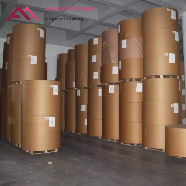 Bio-degradable feature style wholesales material wood pulp thermal paper rolls Duplex Paper Aruna from Vietnam