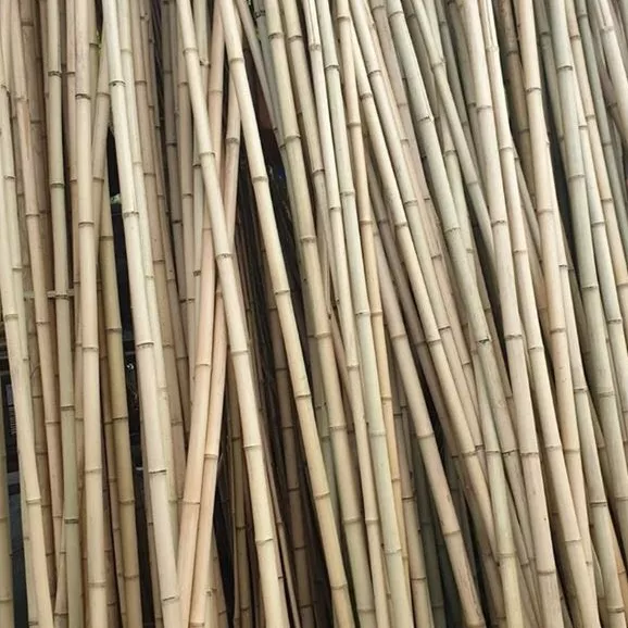 Raw bamboo material, bamboo pole, bamboo stick cheap wholesale