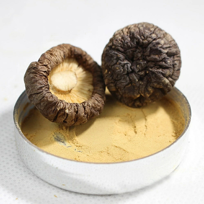 Top Quality Shiitake Mushroom Extract Straight Powder From VietNam