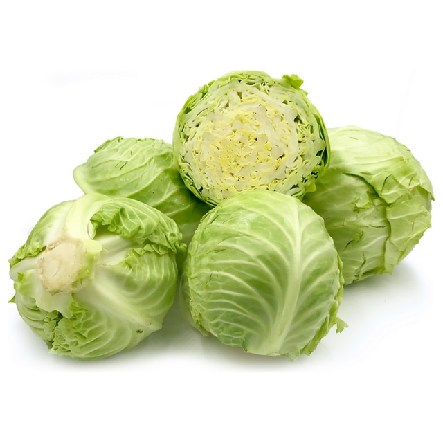 Fresh Round Cabbage Good Quality From VIETNAM with Cheap Price Free Tax for EU USA Japan Korea