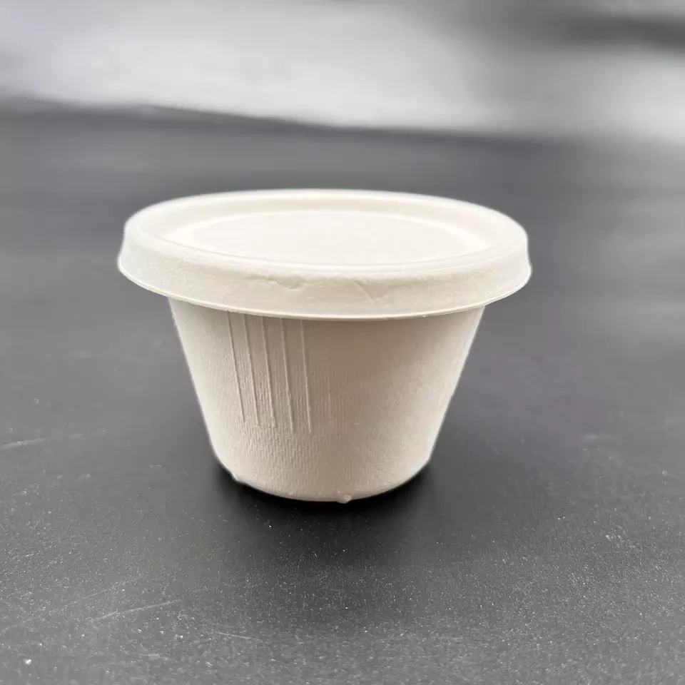 Wholesale Price Customized Size and Color Bio-degradable Bagasse Sauce Box Made in Vietnam Richer Brand