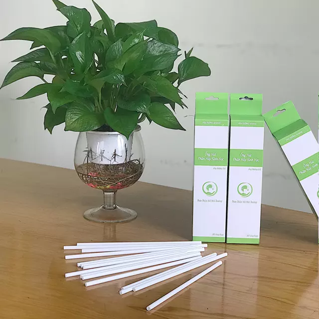 Biodegradable Drinking Straws at Competitive Price