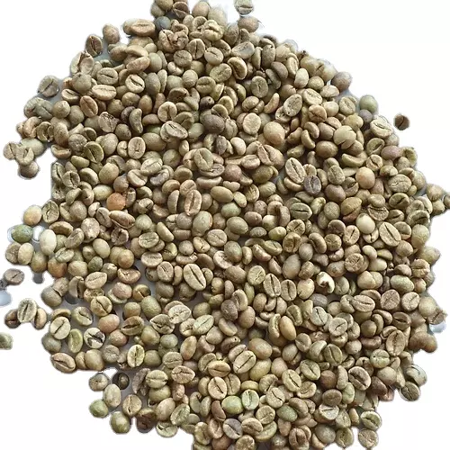 100% Top Quality Robusta grade 1 screen 18 clean - Best Ready Raw Coffee Beans for Drinking from Viet Nam Exporter