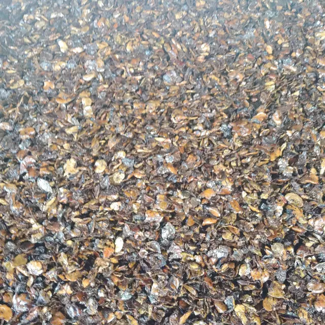Best Price Extracted cashew nut shell