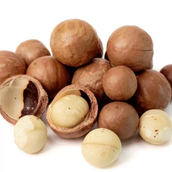 100% Natural Premium Quality Dried Roasted Macadamia nuts With ISO HACCP Certifications From Vietnam