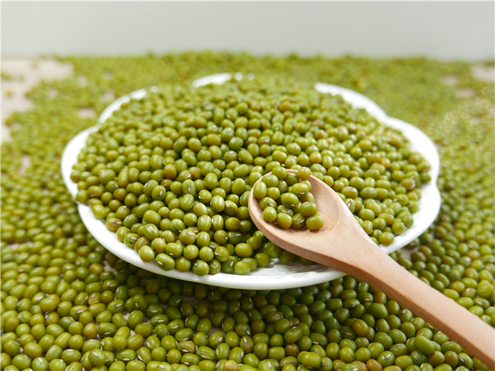 HOT SELLING WHOLE GREEN MUNG BEANS
