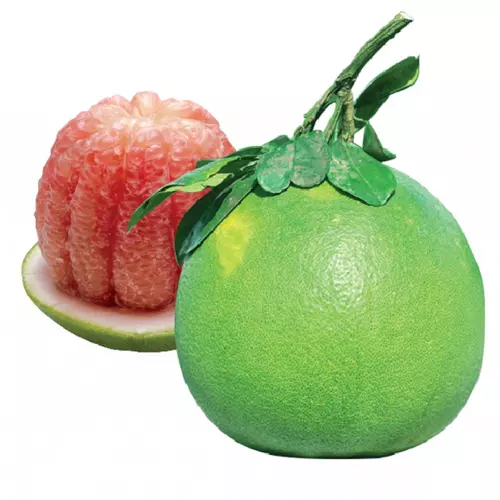 Fresh Fruit 1-1.8 kg/pcs Fresh Citrus Fruit Green skin pomelo grapefruit With pink flesh Brix 10 - 13% From Vietnam