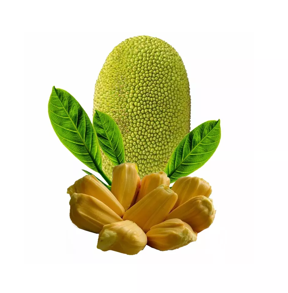 Promotion Fresh Jackfruit Meat Fresh Fruit Organic Sweet Good Taste With Attractive Price High Quality Export Standard For Sale