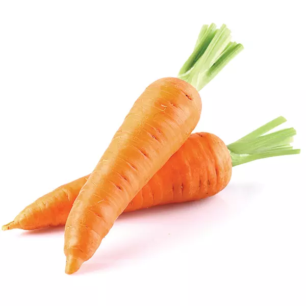 Fresh Carrots - Cheap Price Customized Package Non-GMO Fresh Carrots from Viet Nam wholesale